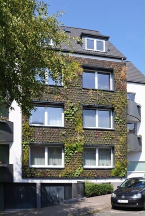 Auf dem Emmerberge